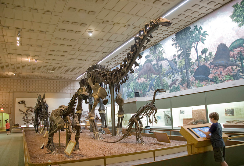 Illustration for article titled Brontosaurus Is the Most Amazing Dinosaur Who Never Existed